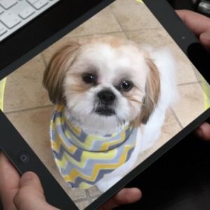 Meet your Posher, Patricia